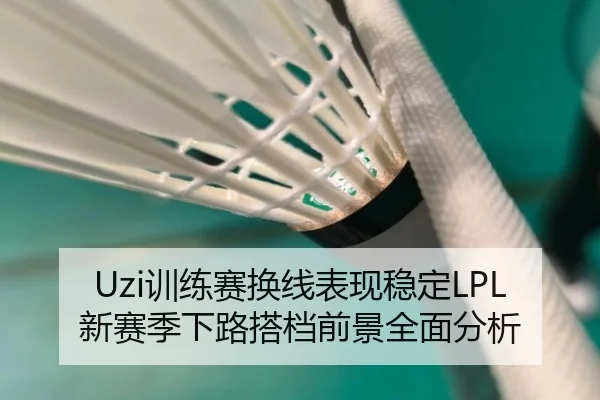 Uzi训练赛换线表现稳定LPL新赛季下路搭档前景全面分析